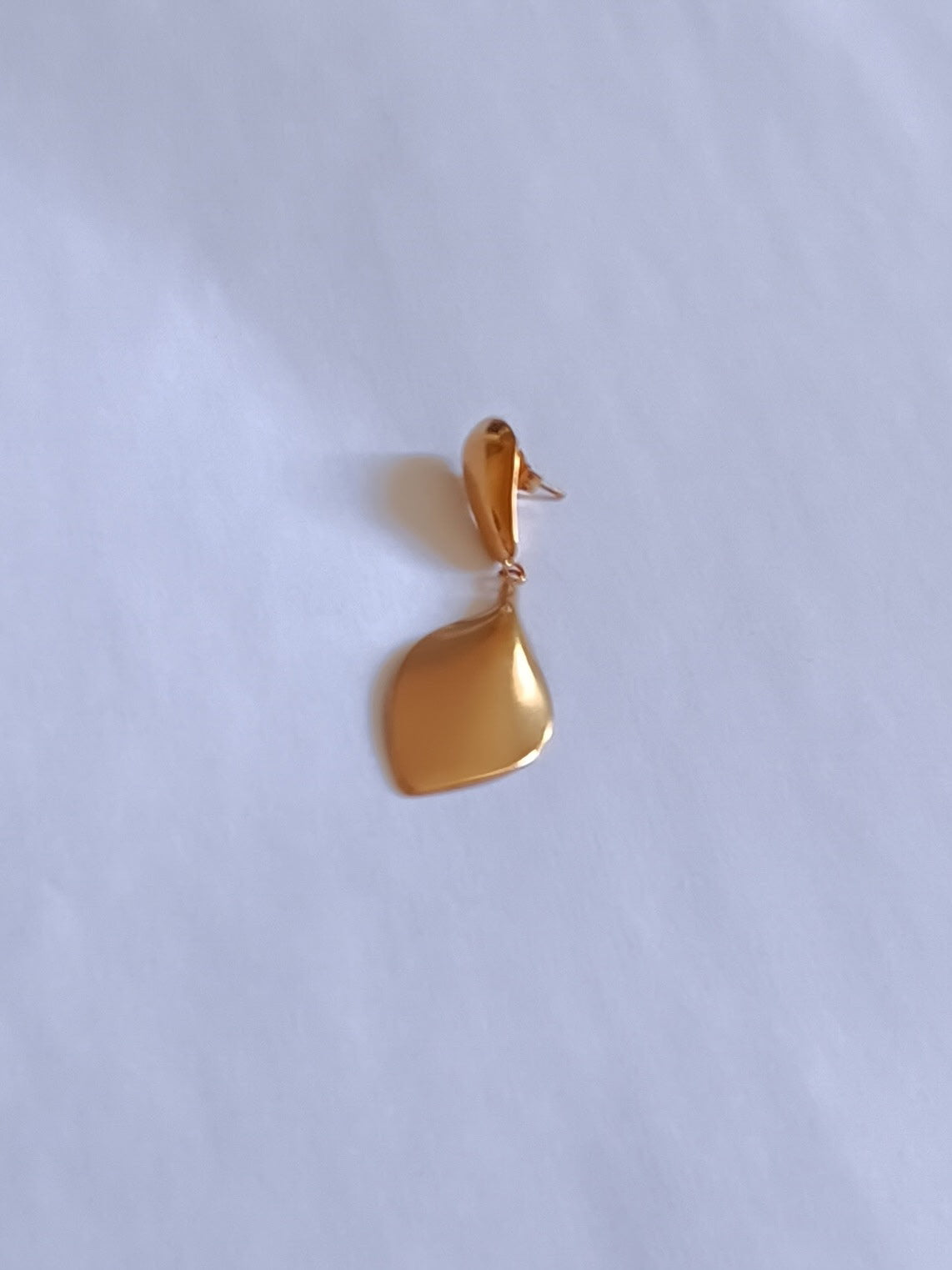 Boucles d'Oreilles en Acier Inoxydable