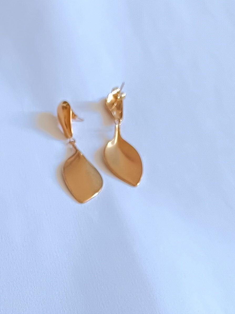 Boucles d'Oreilles en Acier Inoxydable